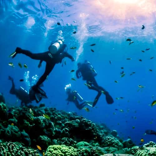 Red Sea Diving