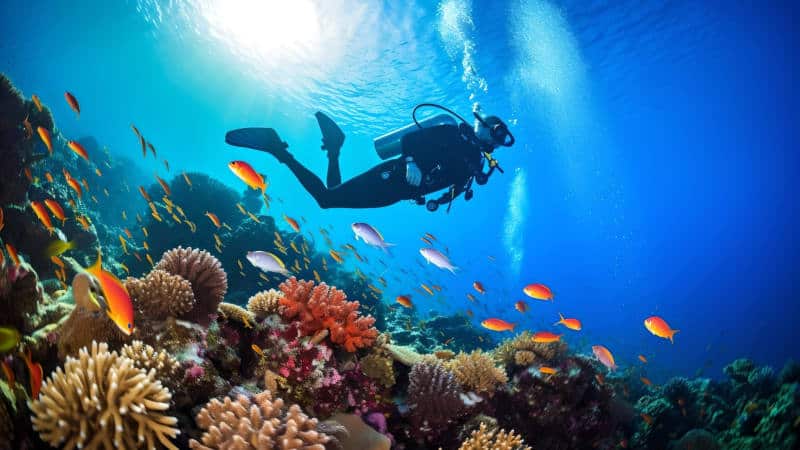 Coral reef diving